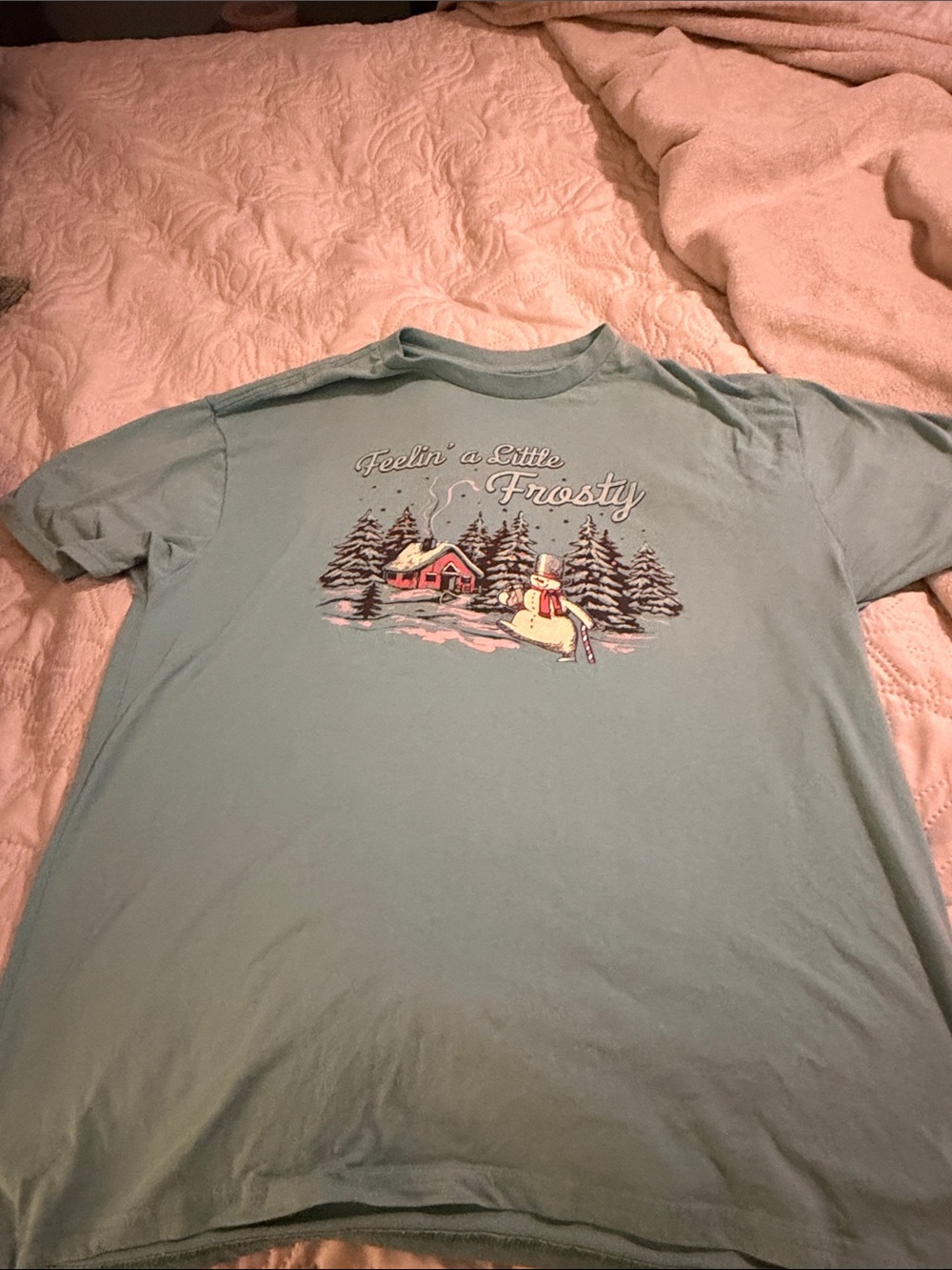 Source Unknown Light Blue Holiday Cabin & Snowman Graphic Tee